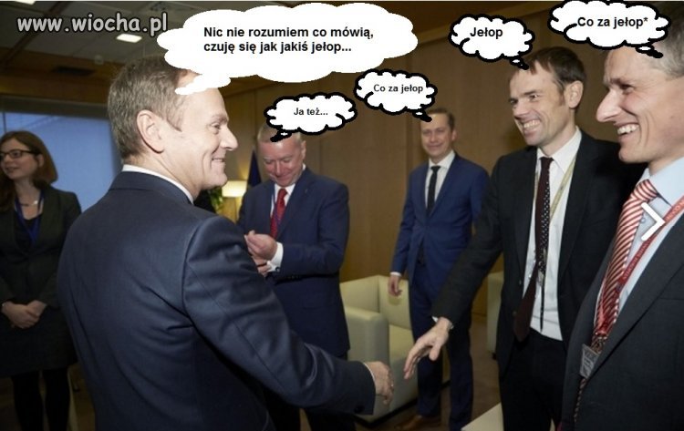 Gdzie ta tłumaczka? Zwolnię burą sukę!