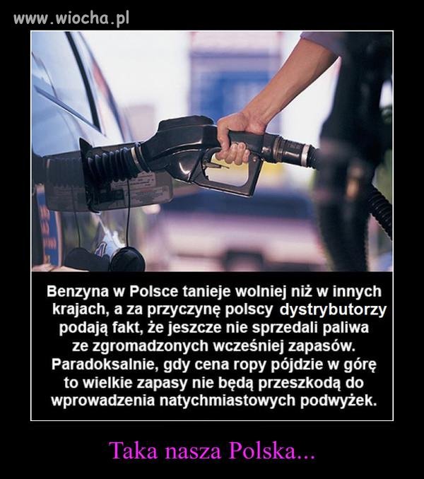 I to po prostu jest zmowa cenowa.