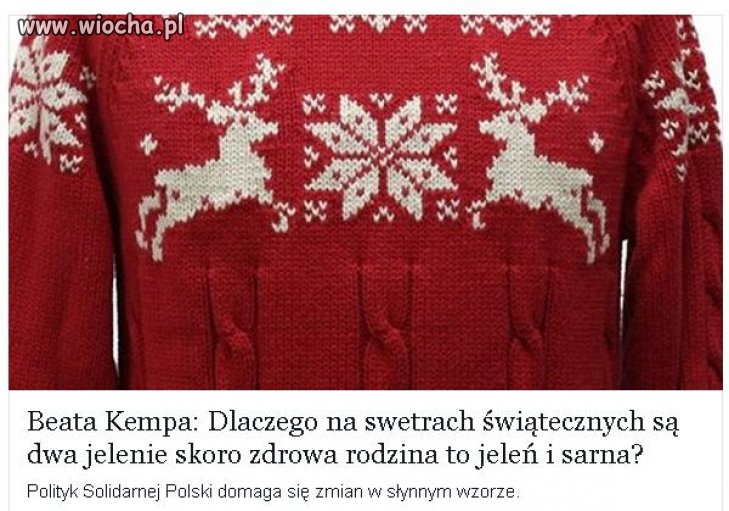A ja mam sweter z jednym dzikiem 