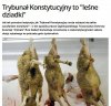 Sejm odrzucił ubój rytualny. Naród też przeciw a..