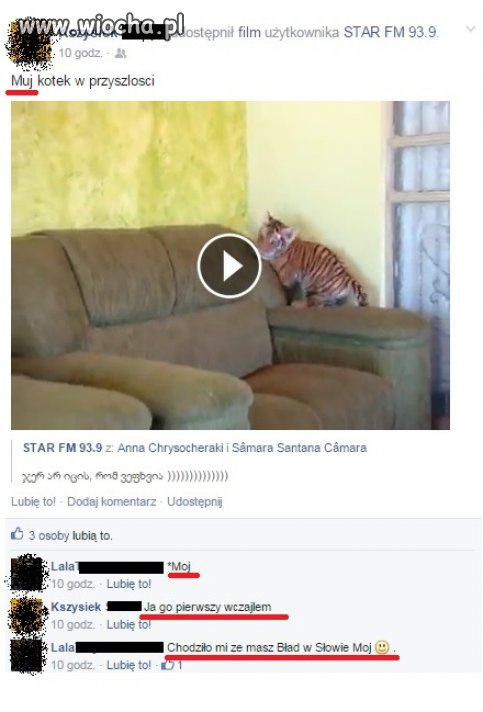 Mógłby wyczaić słownik