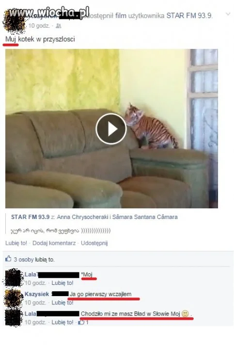 Mógłby wyczaić słownik