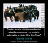 Błagam.. Powiedzcie, że to nie prawda