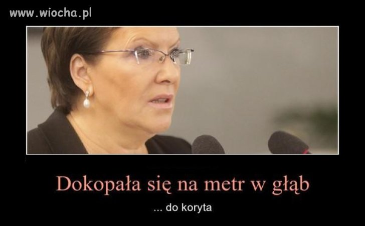 Koryto oficjalnie uważam za otwarte!!