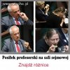 Ciekawe czyj posiłek 