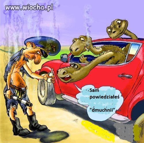 U nas też nie jeden by to sprawił.