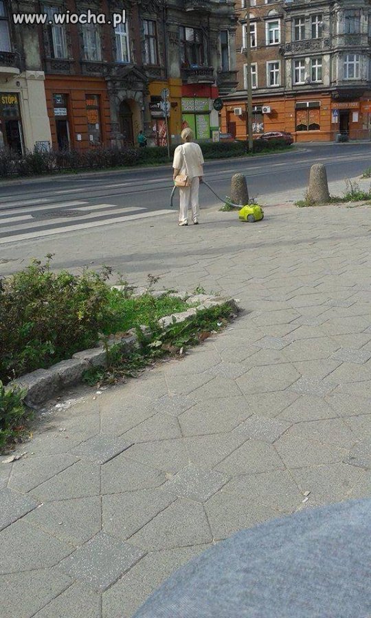 Z odkurzaczem na spacerze...