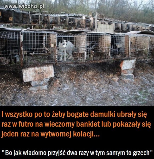 Człowiek. 