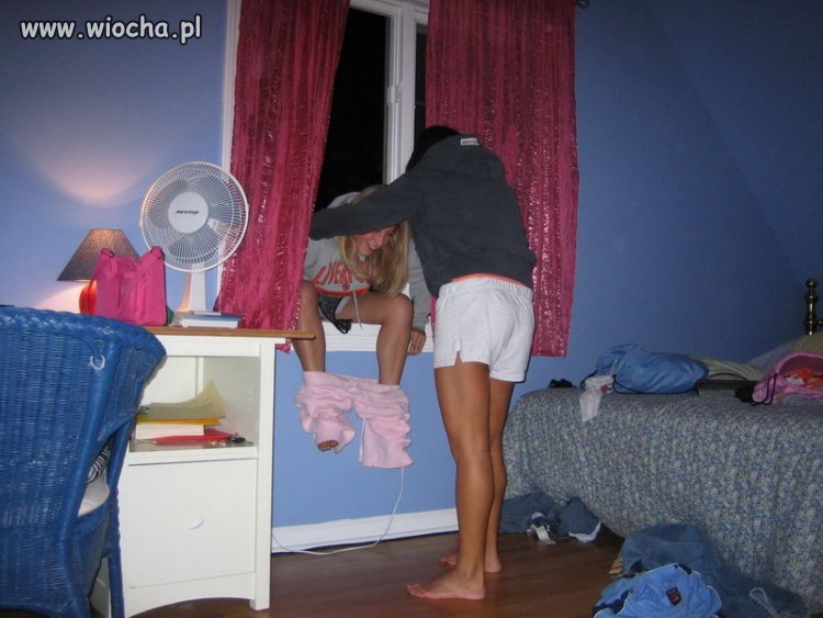 Panienka z okienka