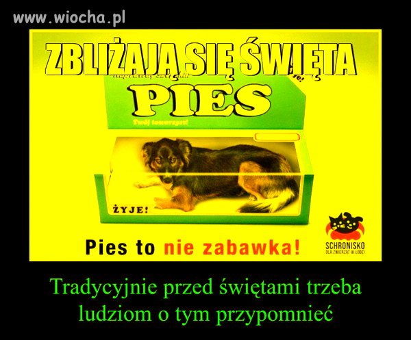 I co roku to samo