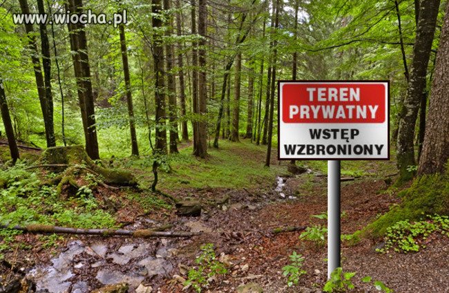 Dziś w nocy odbyło się cichociemne głosowanie...