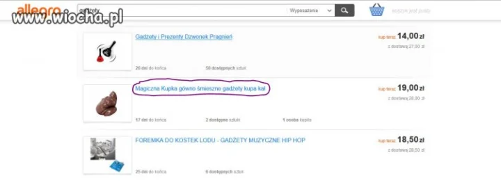 Gówno, kupa, kał.