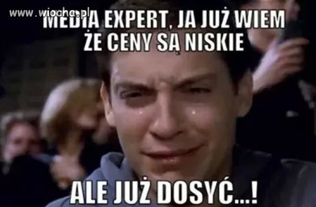Media expert