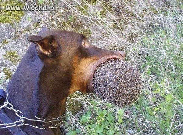 DUŻY BŁĄD