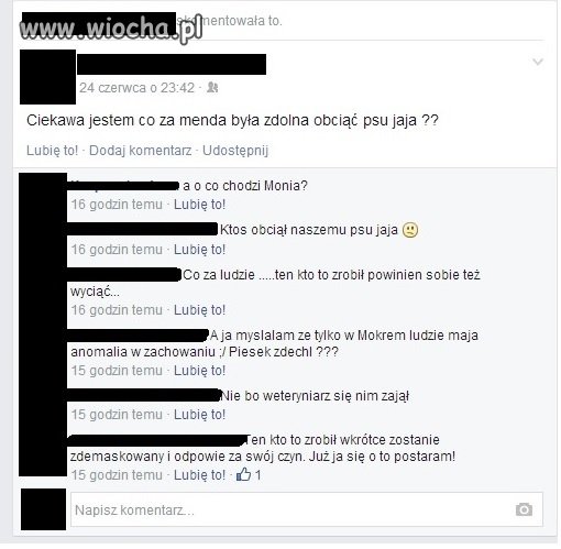 Kto obciął psu jajca?