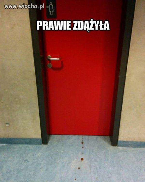 Prawie robi wielką...