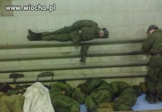 Ciepłolubni żołnierze