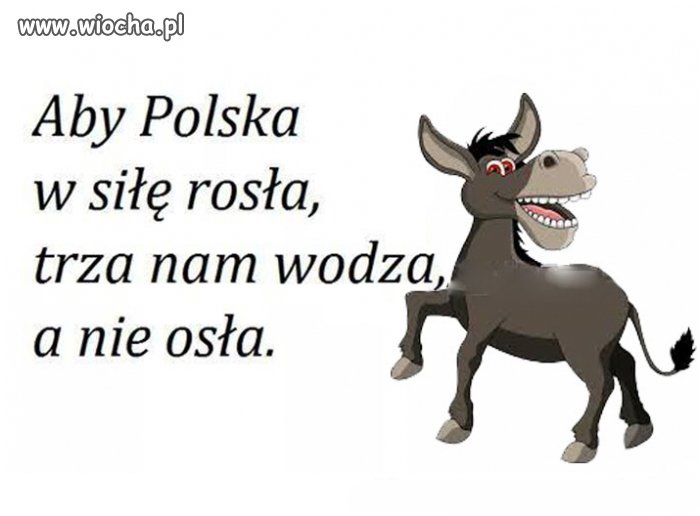Bardzo mądre słowa 