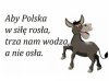 Bardzo mądre słowa 