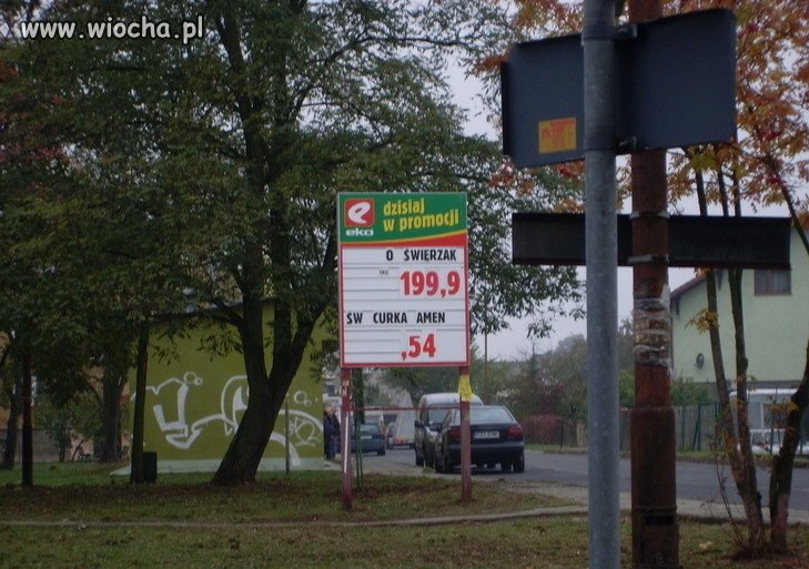 Dzisiaj w promocji