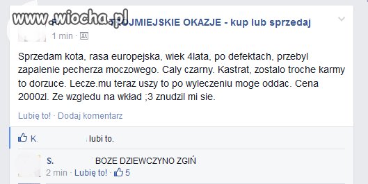 Szkoda, 