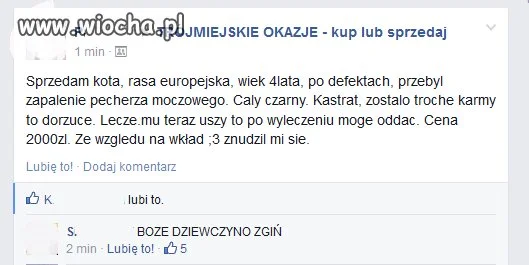 Szkoda, 