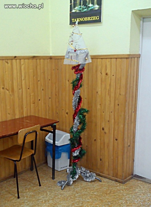 Skromna choinka.