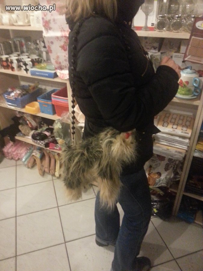 Do pewnego sklepu, pewna Pani..