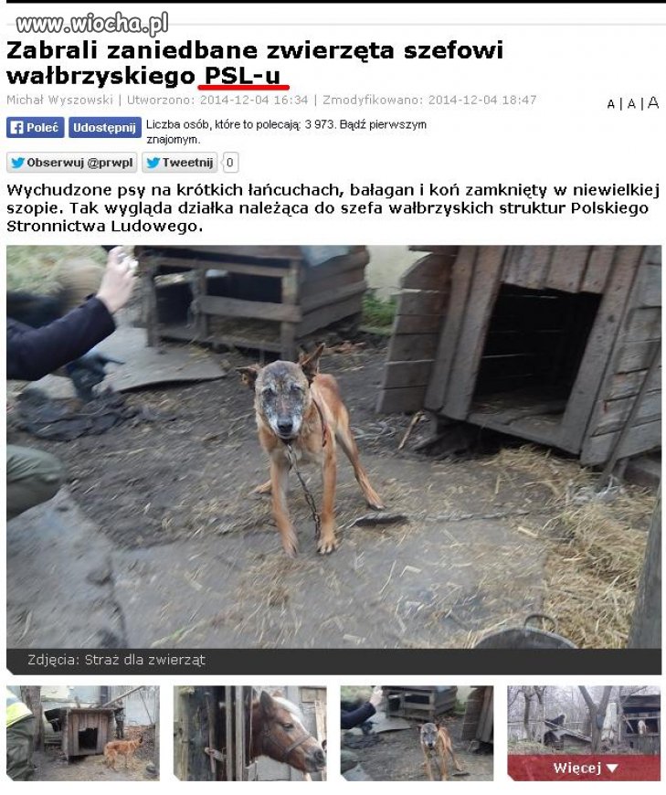 PSL to jednak gorzej niż politycy... 