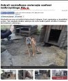PSL to jednak gorzej niż politycy... 