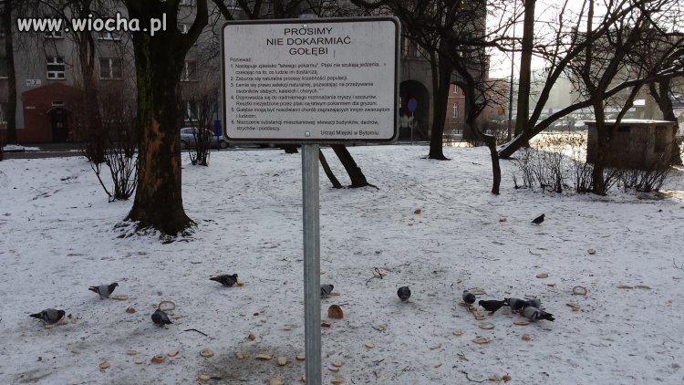 Zakazy, nakazy, prośby