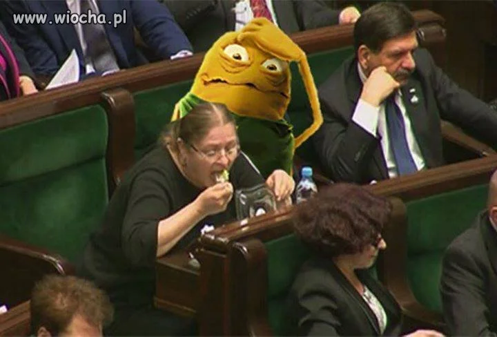 Posłanka ...