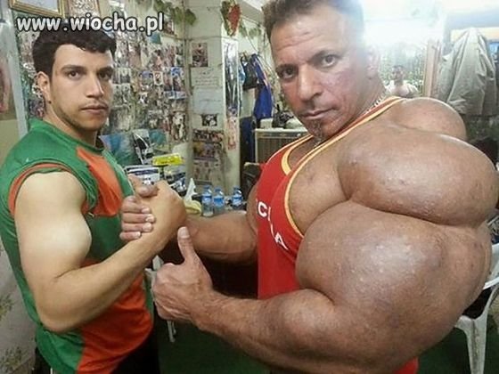 Gdy synthol 