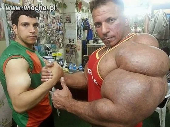 Gdy synthol 