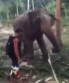 Bo turyści myślą, że wszystko im wolno