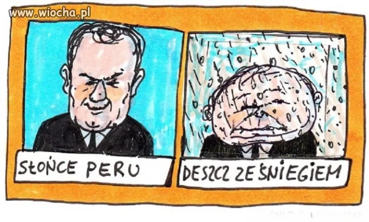 Podobno mamy jakiś wybór