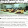 Nasz PO_PSL nierząd
