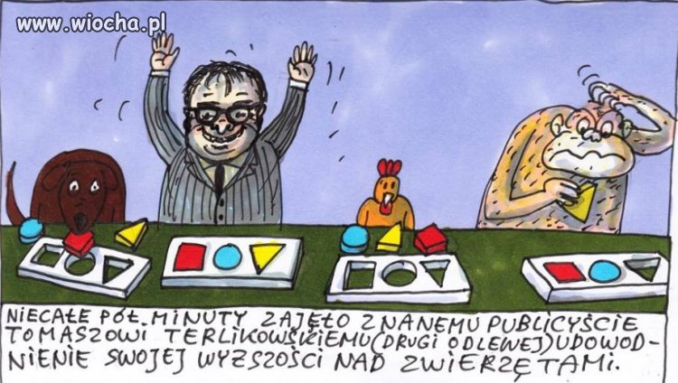 Empiryczny dowód w wykonaniu Terlika?