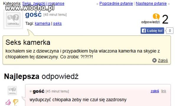 A świstak siedzi