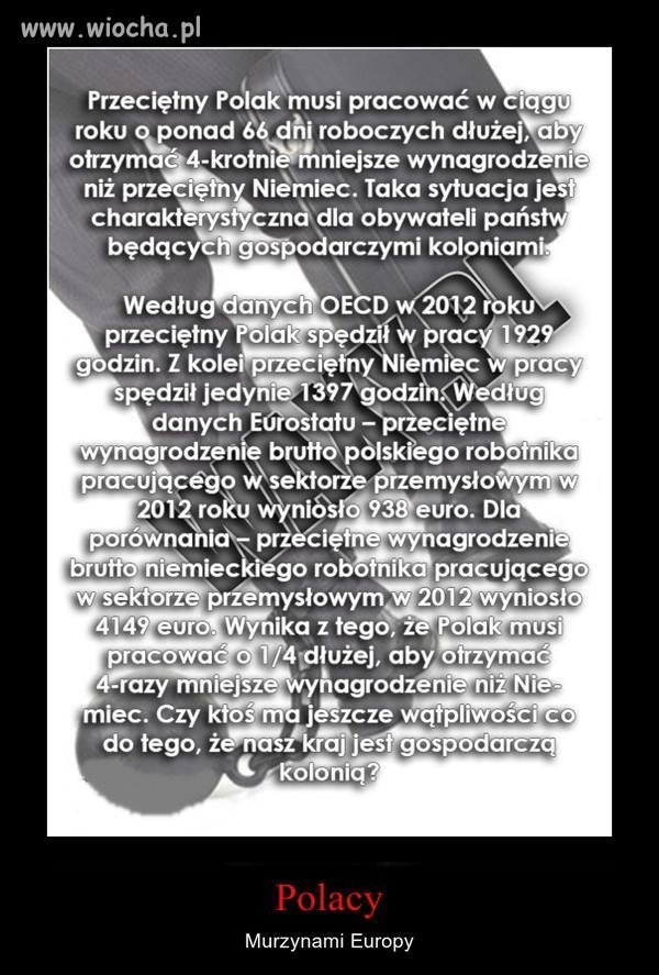 Nic tylko trzeba podziękować  