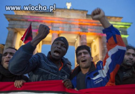 Dawać zasiłek, pracować przecież nie przyjechaliśmy 