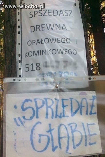 Polski język 