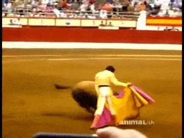 Akrobata