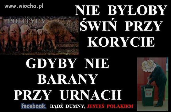 Czysta prawda 