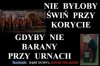 Czysta prawda 