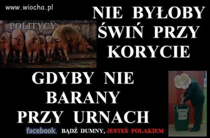 Czysta prawda 