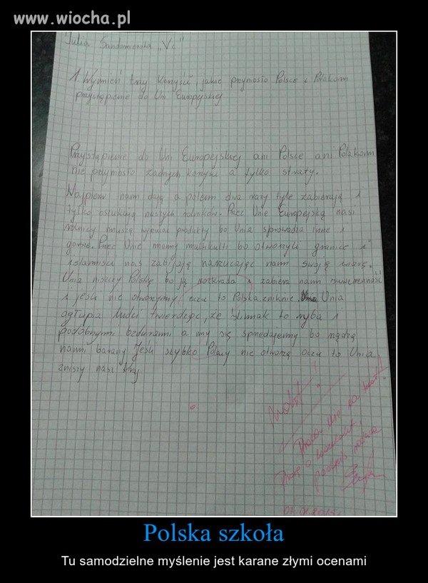 Polskie szkoły to fabryki lemingów/rurkowców.
