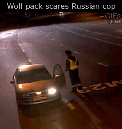 Rosja...