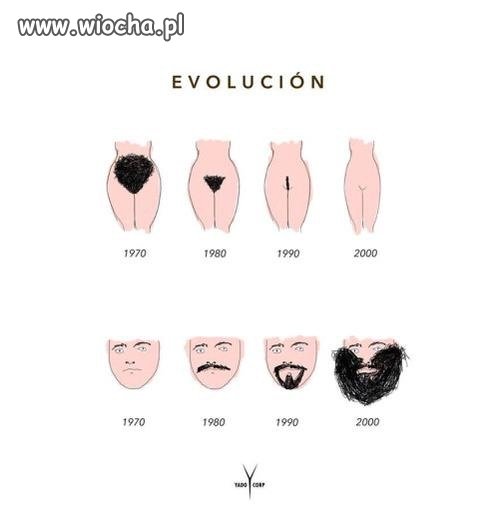 Ewolucja
