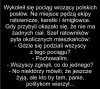 Trochę czarnego humoru